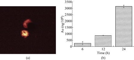 D:\xwu\Nano Biomedicine and Engineering\Articles for production\排版\8(3).p109-124\jzt3.jpg