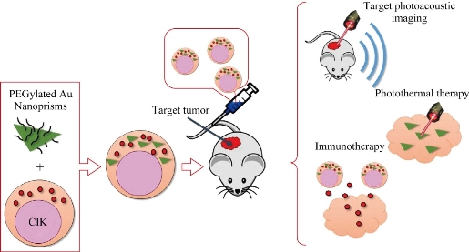 D:\xwu\Nano Biomedicine and Engineering\Articles for production\排版\8(3).p109-124\jzt12.jpg