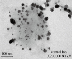 D:\xwu\Nano Biomedicine and Engineering\Articles for production\排版\8(3).p125-  NBE-2016-0012 (Afrah Mohammed)\figs\aemt2.jpg