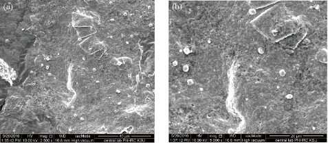 D:\xwu\Nano Biomedicine and Engineering\Articles for production\排版\8(3).p125-  NBE-2016-0012 (Afrah Mohammed)\figs\aemt3.jpg