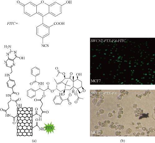 D:\xwu\Nano Biomedicine and Engineering\Articles for production\排版\8(3).p141- NBE-2016-0014 biazar esmaei\stt4.jpg