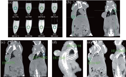 D:\xwu\Nano Biomedicine and Engineering\Articles for production\排版\8(3).p161- Yuming Yang\yym\yymt5.jpg
