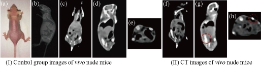 D:\xwu\Nano Biomedicine and Engineering\Articles for production\排版\8(3).p161- Yuming Yang\yym\yymt7.jpg