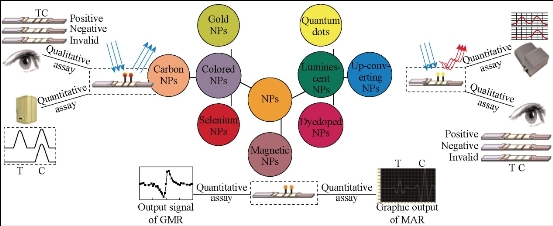 D:\xwu\Nano Biomedicine and Engineering\Articles for production\排版\8(3). Wang Kan\fig\wkt10.jpg