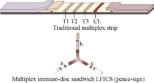 D:\xwu\Nano Biomedicine and Engineering\Articles for production\排版\8(3). Wang Kan\fig\wkt13.jpg