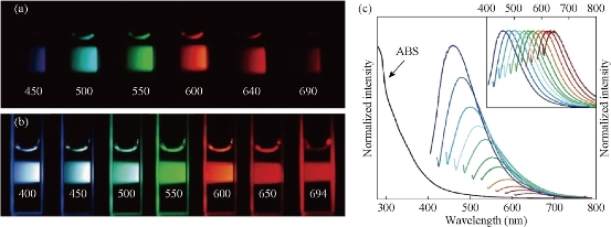 D:\xwu\Nano Biomedicine and Engineering\Articles for production\排版\8(3).pXXX (Guangxia Shen)\sgx\sgxt1.jpg