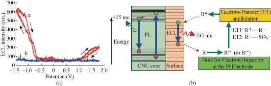 D:\xwu\Nano Biomedicine and Engineering\Articles for production\排版\8(3).pXXX (Guangxia Shen)\sgx\sgxt3.jpg