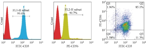 D:\xwu\Nano Biomedicine and Engineering\Articles for production\排版\8(3).p203-211 Xia Fangfang, Cui Daxiang\Xia & Cui\xfft1.jpg