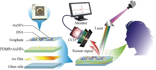 D:\xwu\Nano Biomedicine and Engineering\Articles for production\排版\8(4)\NBE-2016-0029.R1 Cui, Daxiang\pix\cdxt1.jpg