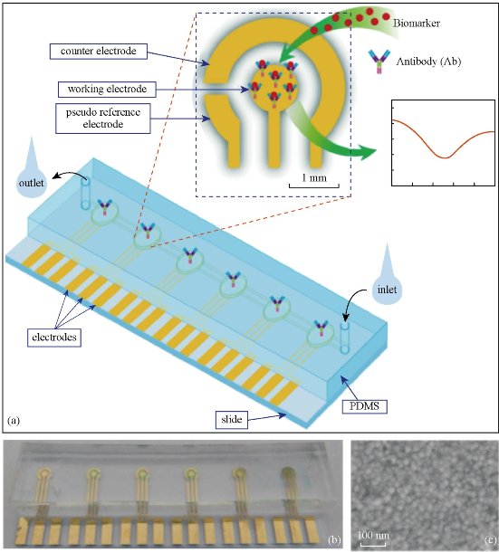 D:\xwu\Nano Biomedicine and Engineering\Articles for production\排版\8(4)\NBE-2016-0029.R1 Cui, Daxiang\pix\cdxt2.jpg