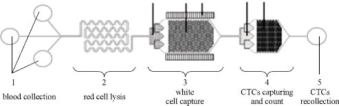 D:\xwu\Nano Biomedicine and Engineering\Articles for production\排版\8(4)\NBE-2016-0029.R1 Cui, Daxiang\pix\cdxt3.jpg