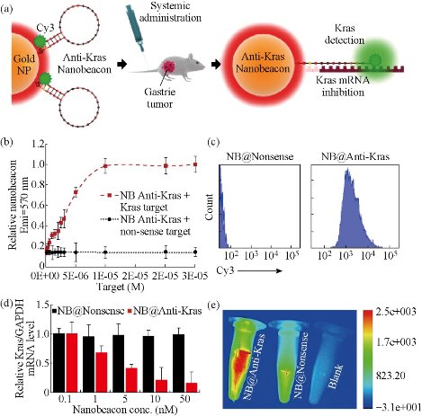 D:\xwu\Nano Biomedicine and Engineering\Articles for production\排版\8(4)\NBE-2016-0029.R1 Cui, Daxiang\pix\cdxt5.jpg