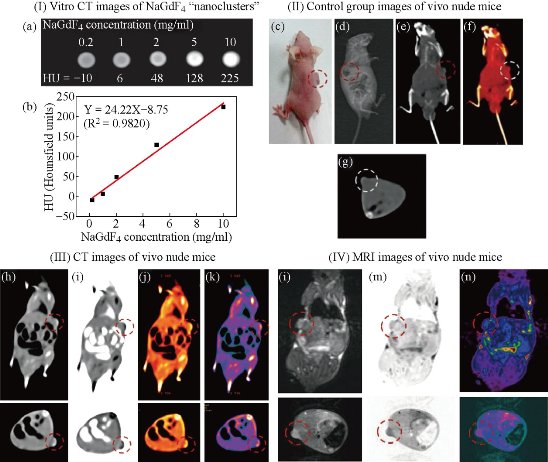 D:\xwu\Nano Biomedicine and Engineering\Articles for production\排版\8(4)\NBE-2016-0029.R1 Cui, Daxiang\pix\cdxt10.jpg