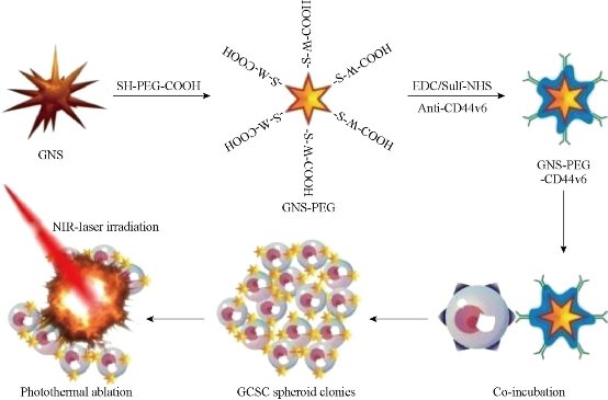 D:\xwu\Nano Biomedicine and Engineering\Articles for production\排版\8(4)\NBE-2016-0029.R1 Cui, Daxiang\pix\cdxt11.jpg