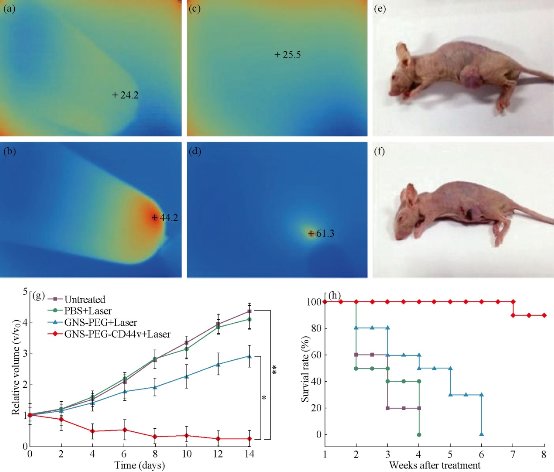 D:\xwu\Nano Biomedicine and Engineering\Articles for production\排版\8(4)\NBE-2016-0029.R1 Cui, Daxiang\pix\cdxt12.jpg