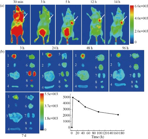 D:\xwu\Nano Biomedicine and Engineering\Articles for production\排版\8(4)\NBE-2016-0029.R1 Cui, Daxiang\pix\cdxt16.jpg