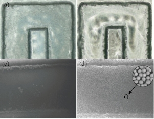 D:\xwu\Nano Biomedicine and Engineering\Articles for production\排版\8(4)\NBE-2016-0030 A giant magnetoimpedance-based microfluidic system for multiplex immunological assay (Yang Hao 20161116)\figs processed\gst5.jpg