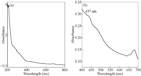 D:\xwu\Nano Biomedicine and Engineering\Articles for production\排版\8(4)\Pai Asha\figs\arpt5.jpg