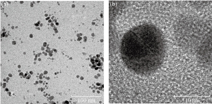 D:\xwu\Nano Biomedicine and Engineering\Articles for production\排版\8(4)\Pai Asha\figs\arpt10.jpg