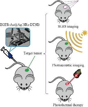 D:\xwu\Nano Biomedicine and Engineering\Articles for production\排版\8(4)\Fei Pan NBE-2016-0040\figs\scs1.jpg