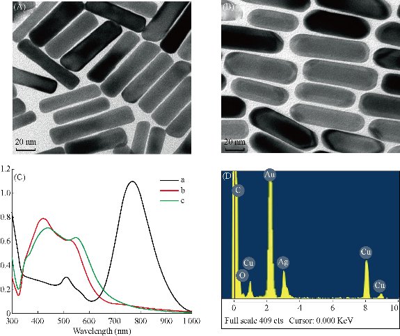D:\xwu\Nano Biomedicine and Engineering\Articles for production\排版\8(4)\Fei Pan NBE-2016-0040\figs\sct1.jpg