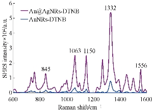 D:\xwu\Nano Biomedicine and Engineering\Articles for production\排版\8(4)\Fei Pan NBE-2016-0040\figs\sct3.jpg