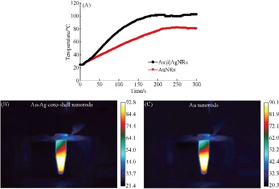 D:\xwu\Nano Biomedicine and Engineering\Articles for production\排版\8(4)\Fei Pan NBE-2016-0040\figs\sct10.jpg