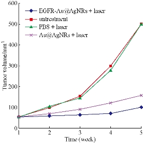 D:\xwu\Nano Biomedicine and Engineering\Articles for production\排版\8(4)\Fei Pan NBE-2016-0040\figs\sct11.jpg
