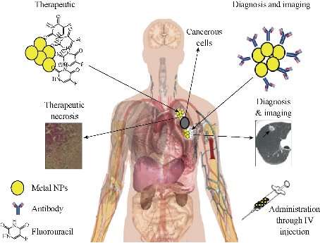 D:\xwu\Nano Biomedicine and Engineering\Articles for production\排版\8(4)\NBE-2016-0025.R1 Faramarzi, Mohammad Ali\fig\mhyt1.jpg