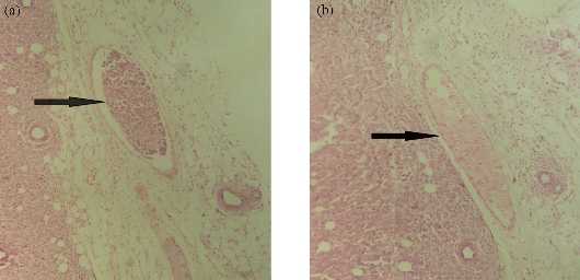 D:\xwu\Nano Biomedicine and Engineering\Articles for production\排版\8(4)\NBE-2016-0025.R1 Faramarzi, Mohammad Ali\fig\mhyt6.jpg