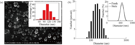 D:\xwu\Nano Biomedicine and Engineering\Articles for production\排版\9(1)\figs\lgt1.jpg