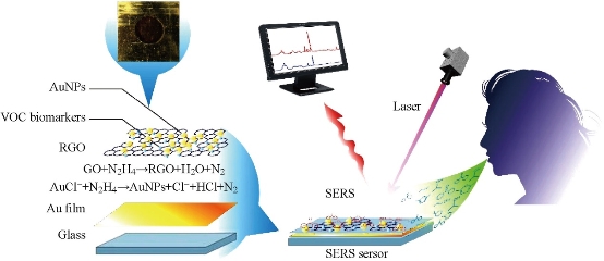 D:\xwu\Nano Biomedicine and Engineering\Articles for production\排版\9(1)\0010 Xiao Zhi (production in progress)\figs\jct5.jpg