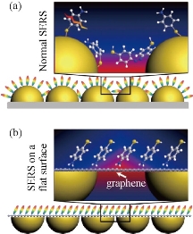 D:\xwu\Nano Biomedicine and Engineering\Articles for production\排版\9(1)\0010 Xiao Zhi (production in progress)\figs\jct7.jpg