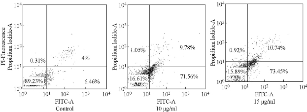 D:\xwu\Nano Biomedicine and Engineering\Articles for production\排版\9(1)\N\figs\vnt4.jpg
