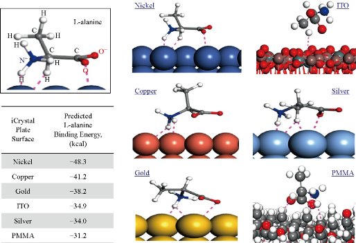 D:\xwu\Nano Biomedicine and Engineering\Articles for production\排版\9(2)\0016\figs\clt2.jpg