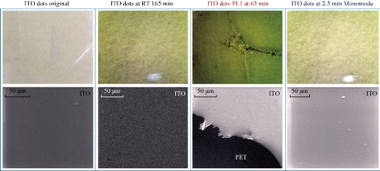 D:\xwu\Nano Biomedicine and Engineering\Articles for production\排版\9(2)\0016\figs\clt3.jpg