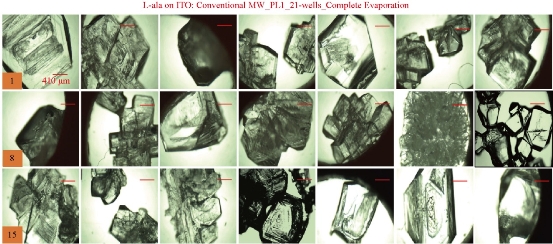 D:\xwu\Nano Biomedicine and Engineering\Articles for production\排版\9(2)\0016\figs\clt7.jpg