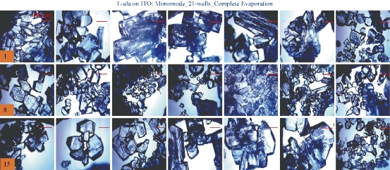 D:\xwu\Nano Biomedicine and Engineering\Articles for production\排版\9(2)\0016\figs\clt8.jpg