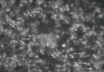 D:\xwu\Nano Biomedicine and Engineering\Articles for production\排版\9(2)\0015 TOC requesting\figs\akst1.jpg