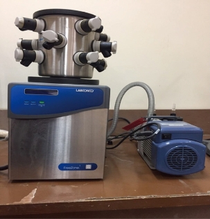 D:\xwu\Nano Biomedicine and Engineering\Articles for production\排版\9(3)\0030 completed\figs\mmrt2.jpg