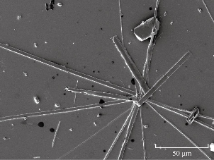D:\xwu\Nano Biomedicine and Engineering\Articles for production\排版\9(3)\0030 completed\figs\mmrt9.jpg