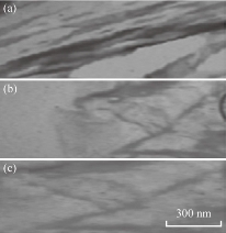 D:\xwu\Nano Biomedicine and Engineering\Articles for production\排版\9(3)\0038 (214-) in production\fig\eajt5.jpg