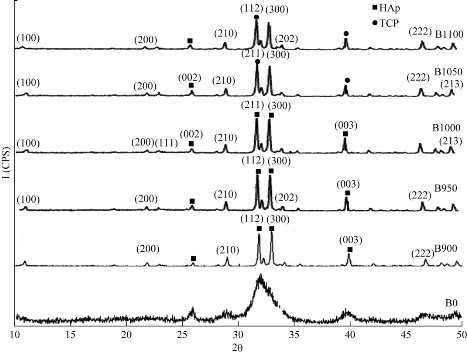 D:\xwu\Nano Biomedicine and Engineering\Articles for production\排版\9(3)\0031 in production\fig\asht2.jpg