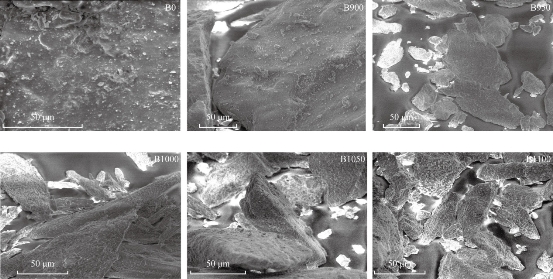 D:\xwu\Nano Biomedicine and Engineering\Articles for production\排版\9(3)\0031 in production\fig\asht4.jpg