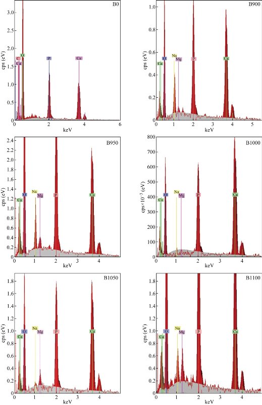 D:\xwu\Nano Biomedicine and Engineering\Articles for production\排版\9(3)\0031 in production\fig\asht5.jpg