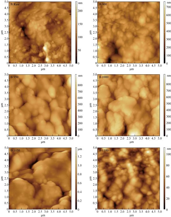 D:\xwu\Nano Biomedicine and Engineering\Articles for production\排版\9(3)\0031 in production\fig\asht6.jpg