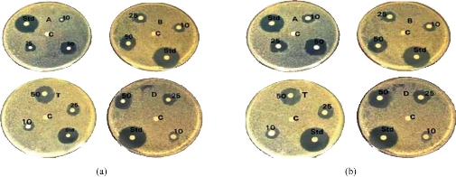 D:\xwu\Nano Biomedicine and Engineering\Articles for production\排版\9(4)\9(4).p324- (0061 Giritharan Bupesh)\prepublishing\fig\fig1.jpg