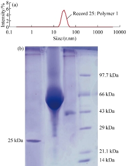 D:\xwu\Nano Biomedicine and Engineering\Articles for production\排版\9(4)\9(4).p324- (0061 Giritharan Bupesh)\prepublishing\fig\fig2.jpg