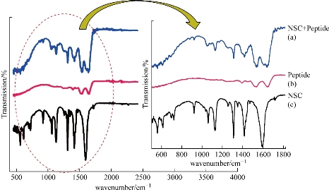 D:\xwu\Nano Biomedicine and Engineering\Articles for production\排版\9(4)\9(4).p324-332 (0061 Giritharan Bupesh)\prepublishing\fig\fig.4.jpg
