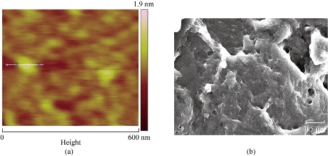 D:\xwu\Nano Biomedicine and Engineering\Articles for production\排版\9(4)\9(4).p324- (0061 Giritharan Bupesh)\prepublishing\fig\fig5.jpg